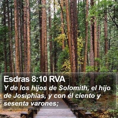 Esdras 8:10 RVA Bible Verse Image