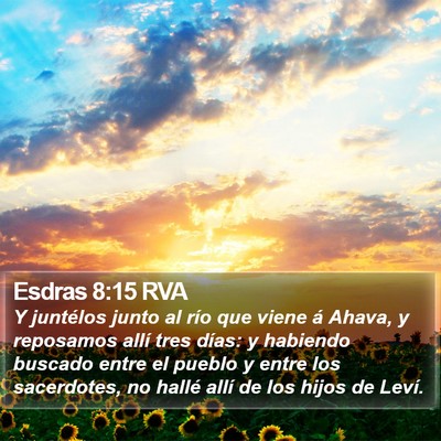 Esdras 8:15 RVA Bible Verse Image