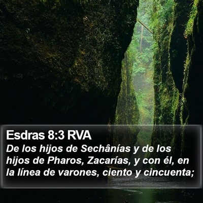 Esdras 8:3 RVA Bible Verse Image