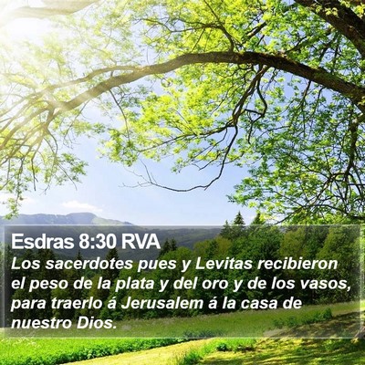 Esdras 8:30 RVA Bible Verse Image