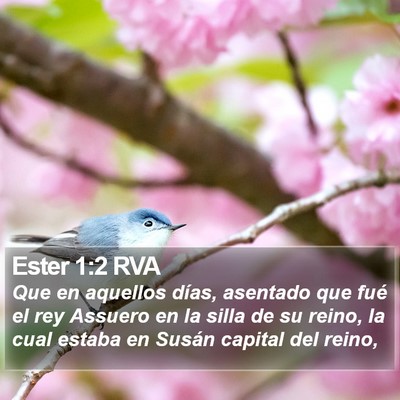 Ester 1:2 RVA Bible Verse Image