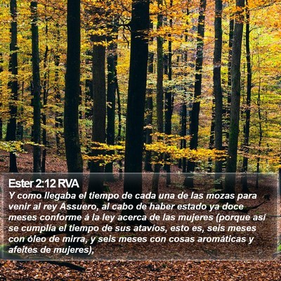 Ester 2:12 RVA Bible Verse Image