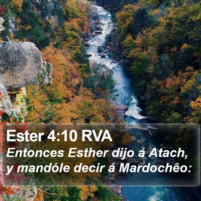 Ester 4:10 RVA Bible Verse Image