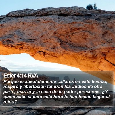 Ester 4:14 RVA Bible Verse Image