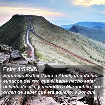 Ester 4:5 RVA Bible Verse Image