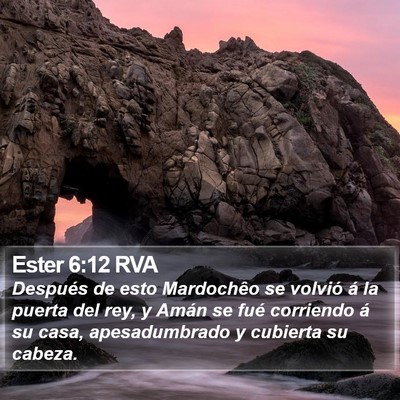 Ester 6:12 RVA Bible Verse Image