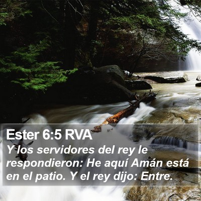 Ester 6:5 RVA Bible Verse Image