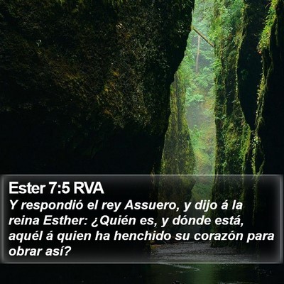 Ester 7:5 RVA Bible Verse Image