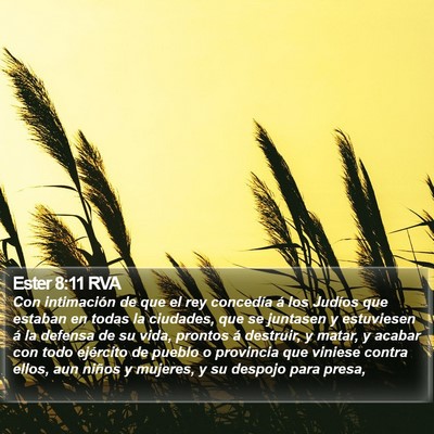 Ester 8:11 RVA Bible Verse Image