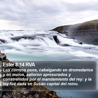 Ester 8:14 RVA Bible Verse Image
