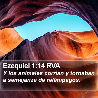 Ezequiel 1:14 RVA Bible Verse Image