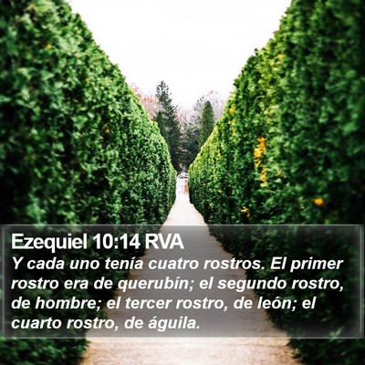 Ezequiel 10:14 RVA Bible Verse Image