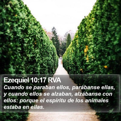 Ezequiel 10:17 RVA Bible Verse Image
