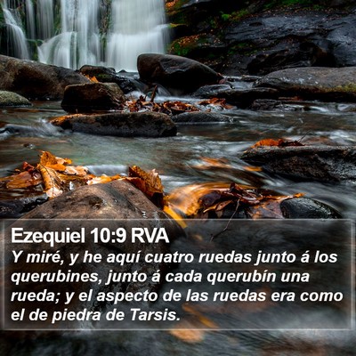Ezequiel 10:9 RVA Bible Verse Image