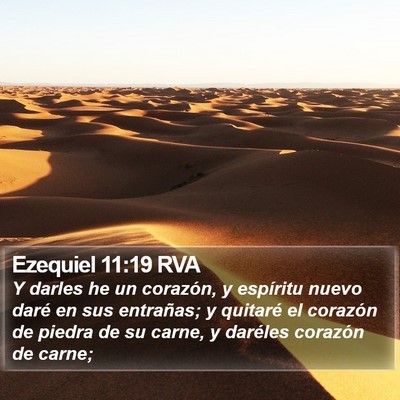 Ezequiel 11:19 RVA Bible Verse Image