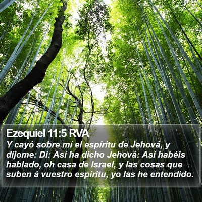 Ezequiel 11:5 RVA Bible Verse Image