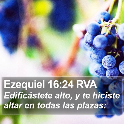 Ezequiel 16:24 RVA Bible Verse Image