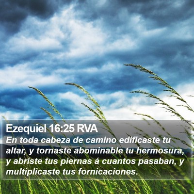 Ezequiel 16:25 RVA Bible Verse Image