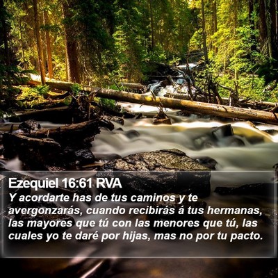 Ezequiel 16:61 RVA Bible Verse Image