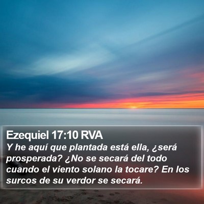 Ezequiel 17:10 RVA Bible Verse Image