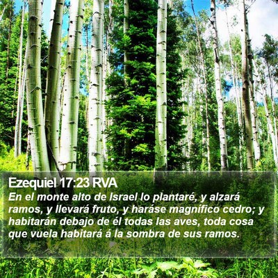 Ezequiel 17:23 RVA Bible Verse Image