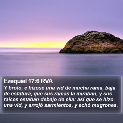 Ezequiel 17:6 RVA Bible Verse Image