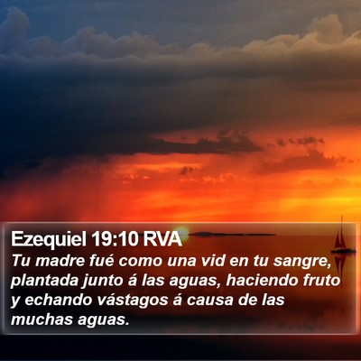 Ezequiel 19:10 RVA Bible Verse Image