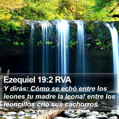 Ezequiel 19:2 RVA Bible Verse Image