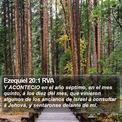 Ezequiel 20:1 RVA Bible Verse Image