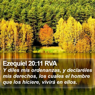 Ezequiel 20:11 RVA Bible Verse Image