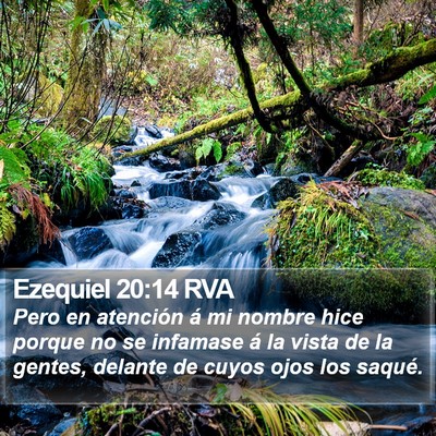 Ezequiel 20:14 RVA Bible Verse Image