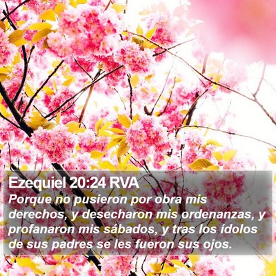 Ezequiel 20:24 RVA Bible Verse Image