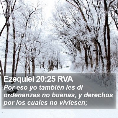 Ezequiel 20:25 RVA Bible Verse Image