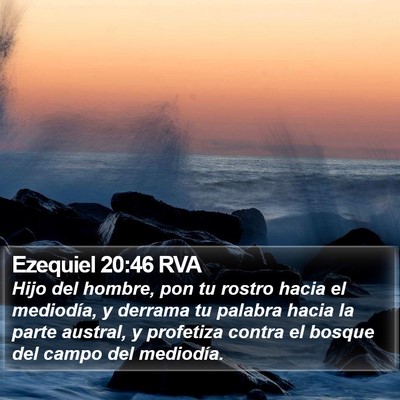 Ezequiel 20:46 RVA Bible Verse Image