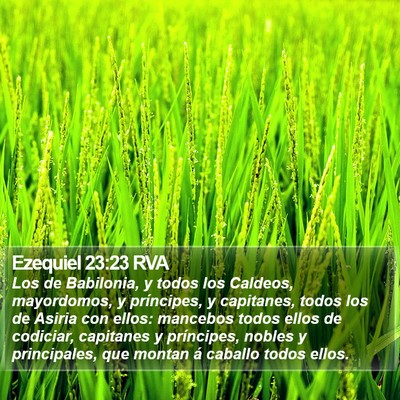 Ezequiel 23:23 RVA Bible Verse Image