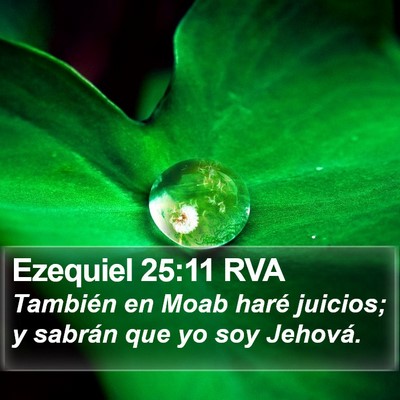 Ezequiel 25:11 RVA Bible Verse Image