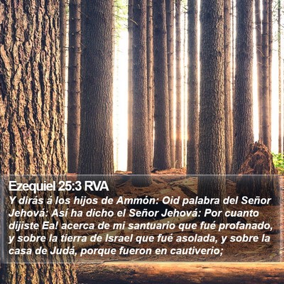Ezequiel 25:3 RVA Bible Verse Image