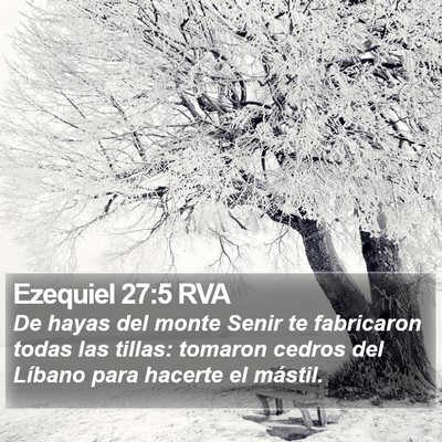 Ezequiel 27:5 RVA Bible Verse Image