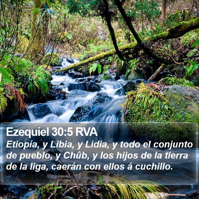 Ezequiel 30:5 RVA Bible Verse Image