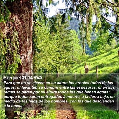 Ezequiel 31:14 RVA Bible Verse Image