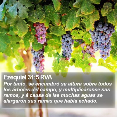 Ezequiel 31:5 RVA Bible Verse Image