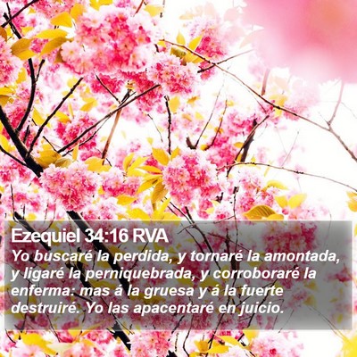 Ezequiel 34:16 RVA Bible Verse Image