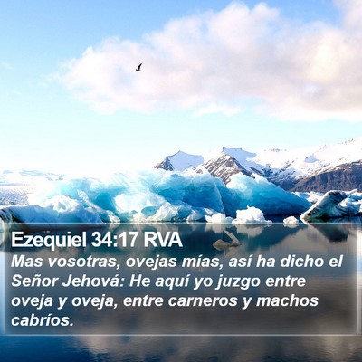 Ezequiel 34:17 RVA Bible Verse Image
