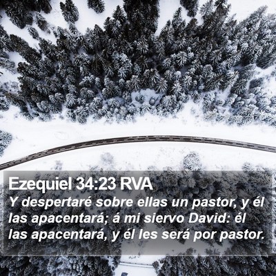 Ezequiel 34:23 RVA Bible Verse Image