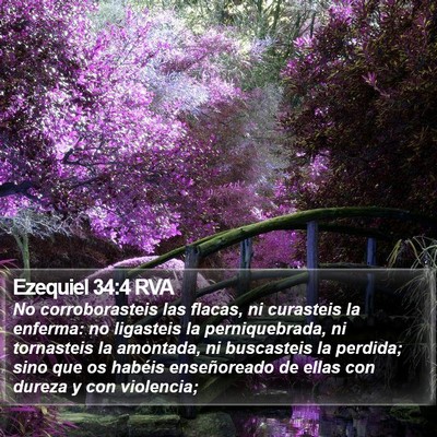 Ezequiel 34:4 RVA Bible Verse Image