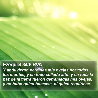 Ezequiel 34:6 RVA Bible Verse Image