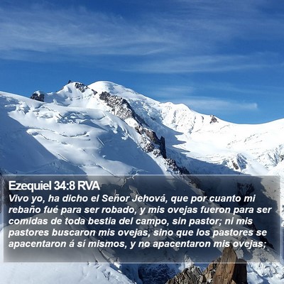 Ezequiel 34:8 RVA Bible Verse Image