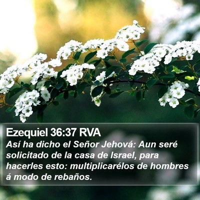 Ezequiel 36:37 RVA Bible Verse Image
