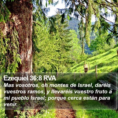 Ezequiel 36:8 RVA Bible Verse Image