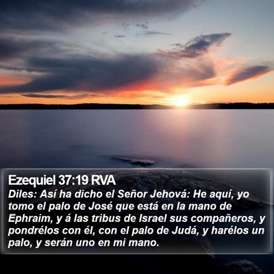 Ezequiel 37:19 RVA Bible Verse Image